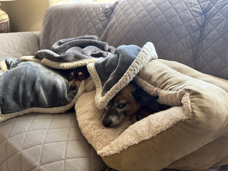 020126 FSJ and Gert.jpg